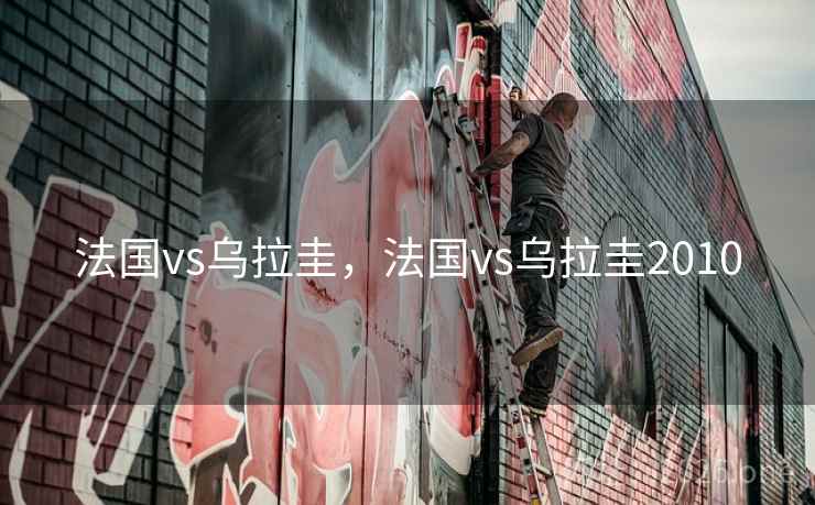 法国vs乌拉圭，法国vs乌拉圭2010