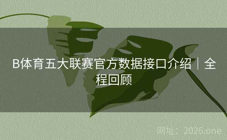B体育五大联赛官方数据接口介绍｜全程回顾