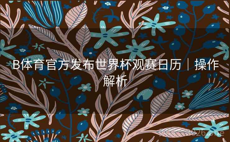 B体育官方发布世界杯观赛日历｜操作解析