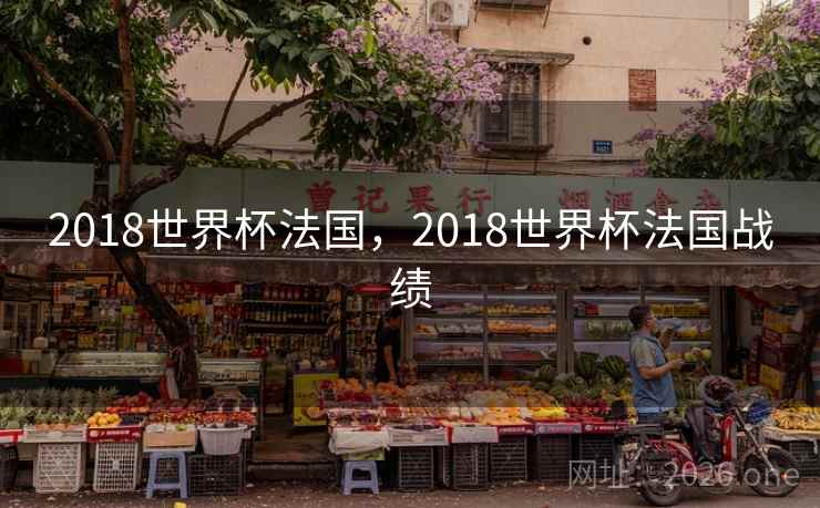 2018世界杯法国，2018世界杯法国战绩