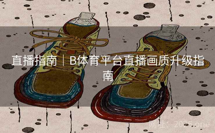 直播指南｜B体育平台直播画质升级指南
