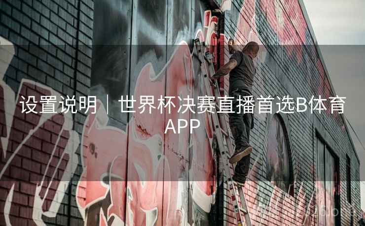设置说明｜世界杯决赛直播首选B体育APP