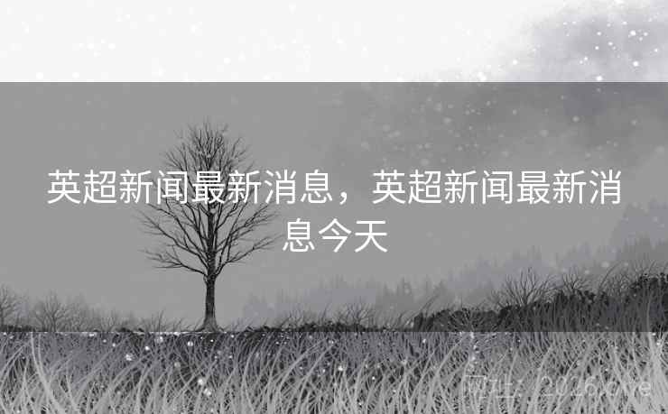 英超新闻最新消息，英超新闻最新消息今天