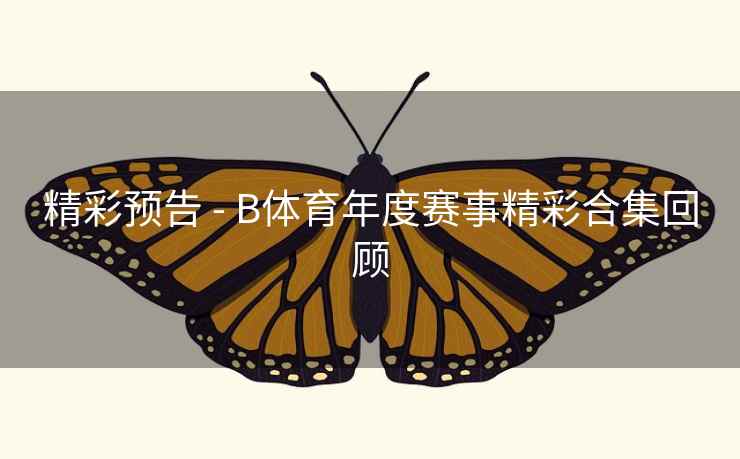 精彩预告 - B体育年度赛事精彩合集回顾