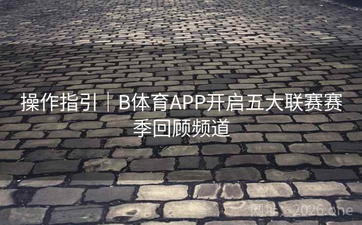 操作指引|B体育APP开启五大联赛赛季回顾频道
