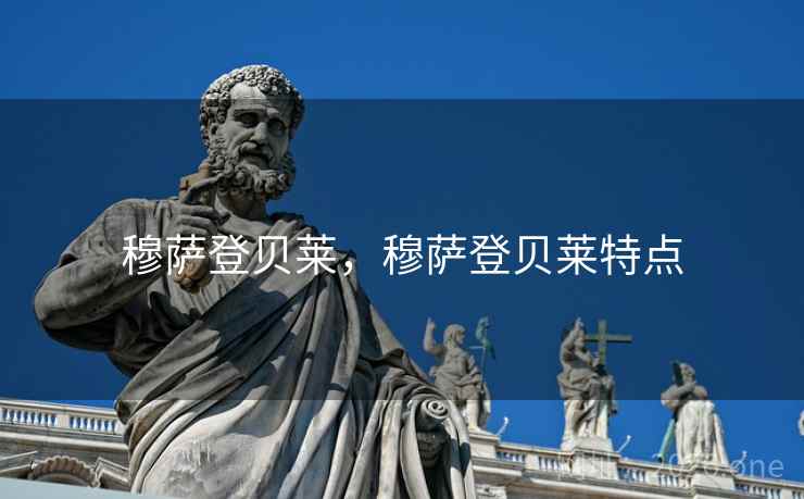 穆萨登贝莱,穆萨登贝莱特点