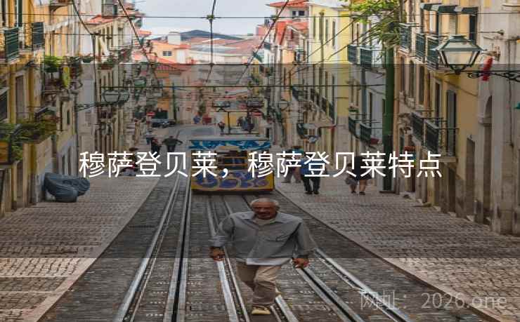 穆萨登贝莱,穆萨登贝莱特点