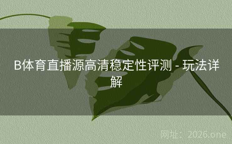 B体育直播源高清稳定性评测 - 玩法详解