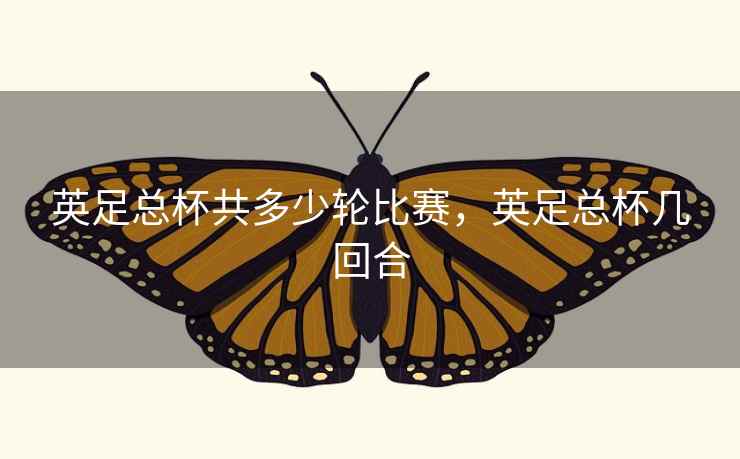 英足总杯共多少轮比赛,英足总杯几回合