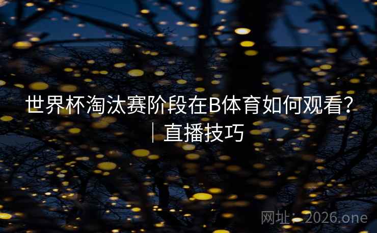 详细阅读:世界杯淘汰赛阶段在B体育如何观看?|直播技巧 世界杯淘汰赛阶段在B体育如何观看?|直播技巧